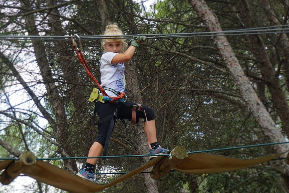 Ausflugstipp Bodensee: Erlebniswald Mainau