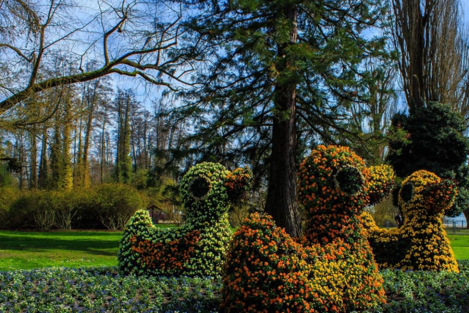 Ausflugstipp Bodensee: Insel Mainau